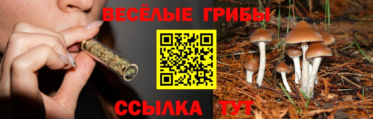 Галлюциногенные грибы мицелий  Псилоцибиновые грибы Psilocybine cubensis  Вход с VPN  Видное 